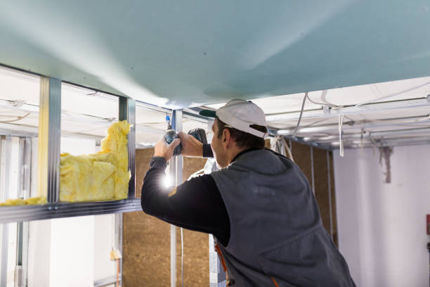 Types of Insulation We Offer in Wilson, PA