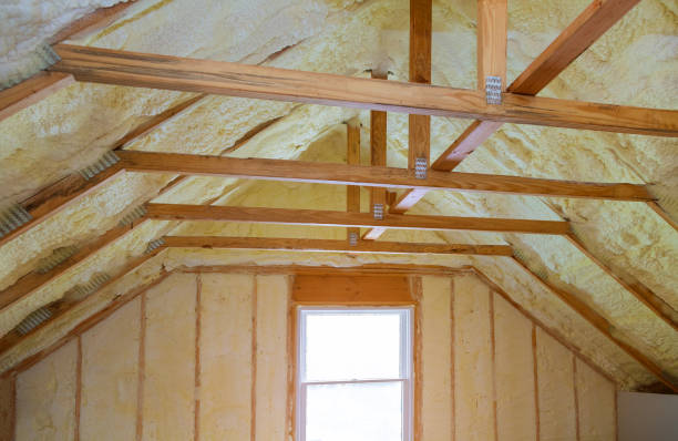 Best Insulation Maintenance and Repair in Wilson, PA