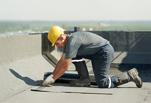 Best Cellulose Insulation in Wilson, PA